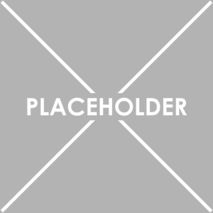 Placeholder gamepass - Roblox